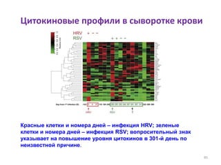 Цитокиновые профили в сыворотке крови
85
Красные клетки и номера дней – инфекция HRV; зеленые
клетки и номера дней – инфекция RSV; вопросительный знак
указывает на повышение уровня цитокинов в 301-й день по
неизвестной причине.
 