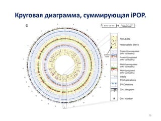 Круговая диаграмма, суммирующая iPOP.
79
 