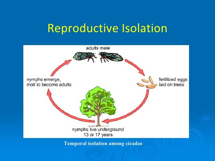 reproductive isolation mechanisms 8 of : 2 Rates Trends Lecture Patterns, And Evolutionary reproductive isolation mechanisms 8 of : 2 Rates Trends Lecture Patterns, And Evolutionary