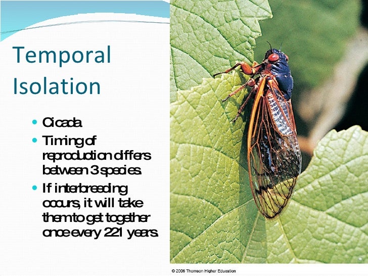 Lecture 2 Evolutionary Patterns, Rates And Trends