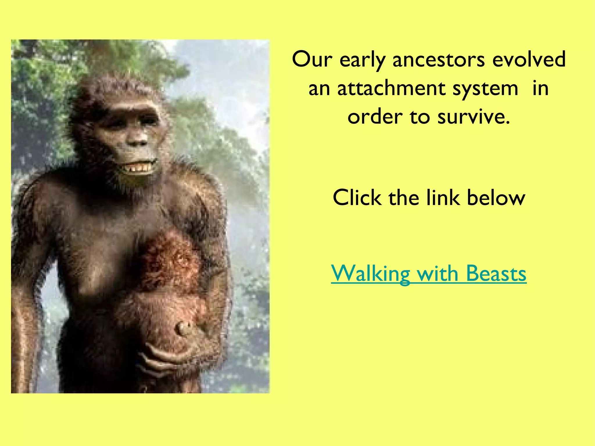 Our early ancestors evolved an attachment system  in order to survive. Walking with Beasts Click the link below 