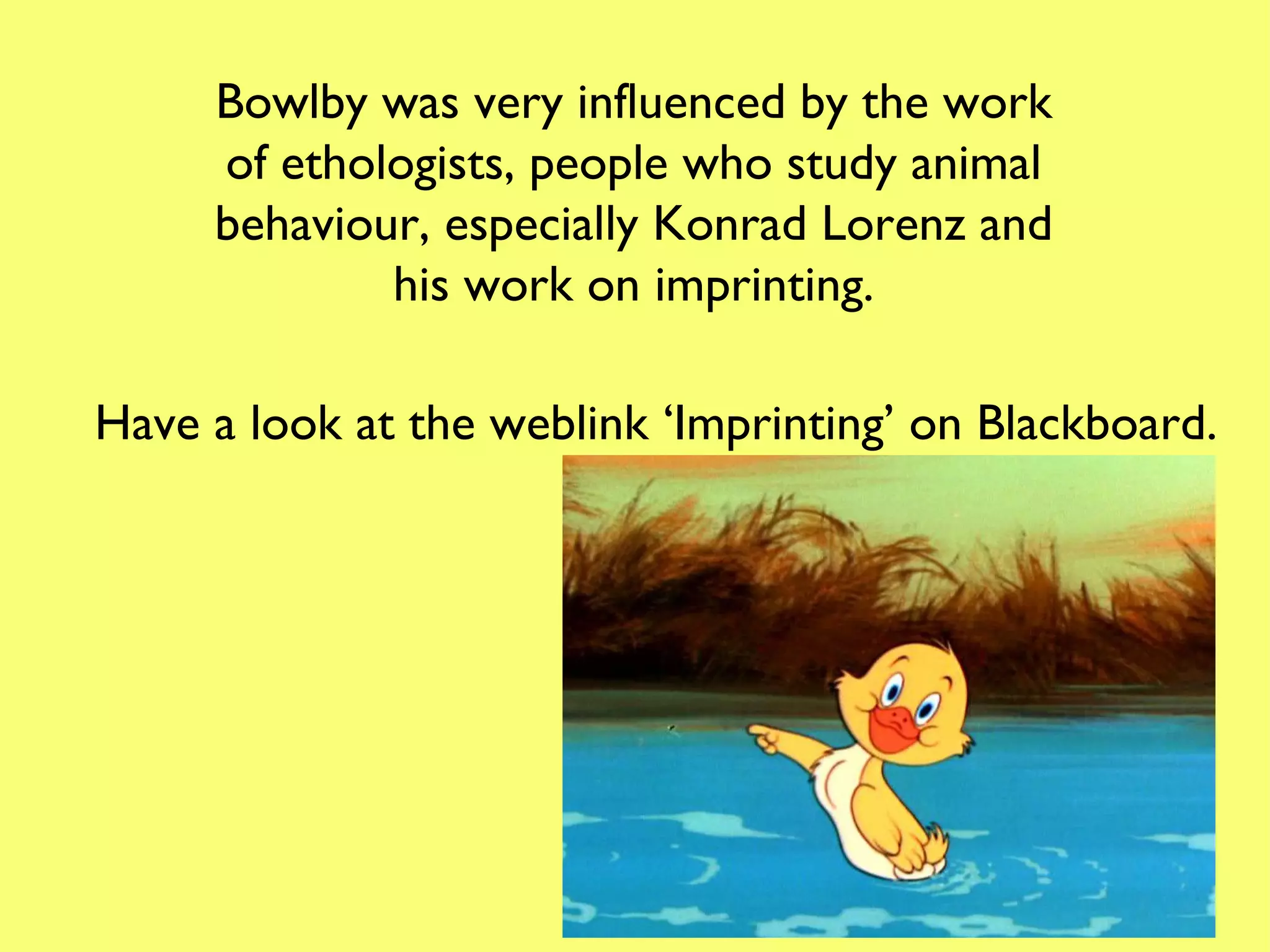 Bowlby was very influenced by the work of ethologists, people who study animal behaviour, especially Konrad Lorenz and his work on imprinting. Have a look at the weblink ‘Imprinting’ on Blackboard.  