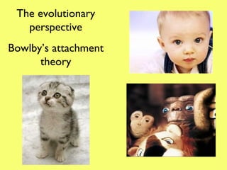 The evolutionary perspective Bowlby’s attachment theory 