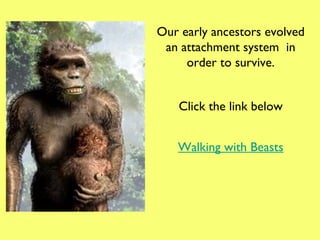Our early ancestors evolved an attachment system  in order to survive. Walking with Beasts Click the link below 