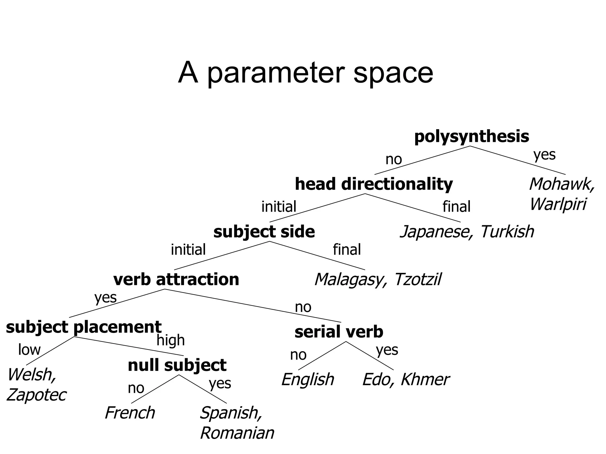 A parameter space  polysynthesis head directionality subject side verb attraction subject placement serial verb null subject yes no Mohawk,  Warlpiri final initial Japanese, Turkish initial final Malagasy, Tzotzil yes no no yes English Edo, Khmer high low Welsh,  Zapotec no yes French Spanish,  Romanian 