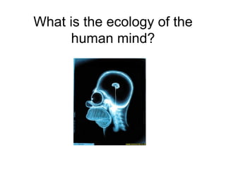 What is the ecology of the human mind? 
