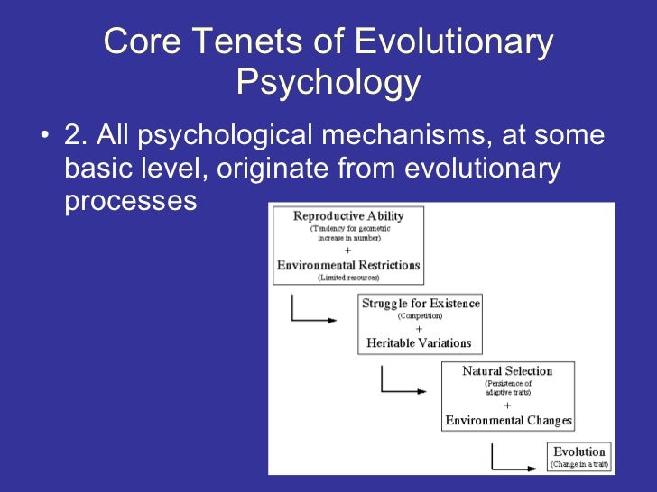 sample of evolutionary perspective