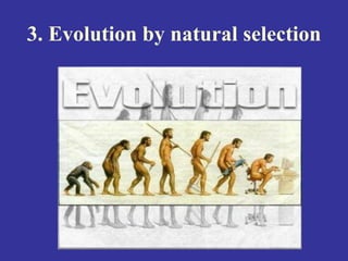 3. Evolution by natural selection
 