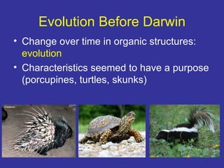 Evolution Before Darwin
• Change over time in organic structures:
  evolution
• Characteristics seemed to have a purpose
  (porcupines, turtles, skunks)
 