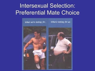 Intersexual Selection:
Preferential Mate Choice
 