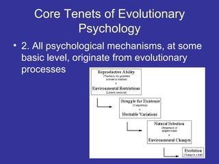 Core Tenets of Evolutionary
           Psychology
• 2. All psychological mechanisms, at some
  basic level, originate from evolutionary
  processes
 