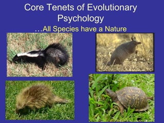 Core Tenets of Evolutionary
       Psychology
  …All Species have a Nature
 