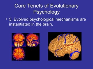 Core Tenets of Evolutionary
           Psychology
• 5. Evolved psychological mechanisms are
  instantiated in the brain.
 