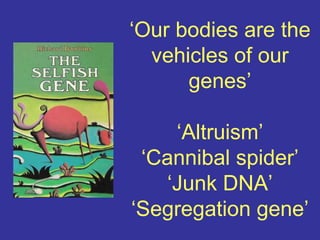 ‘Our bodies are the
  vehicles of our
      genes’

    ‘Altruism’
 ‘Cannibal spider’
   ‘Junk DNA’
‘Segregation gene’
 