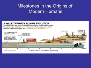 Milestones in the Origins of
     Modern Humans
 