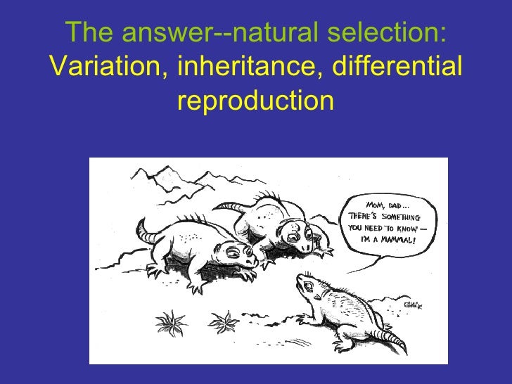 What Are The Components Of Natural Selection What Are The Components Of Natural Selection