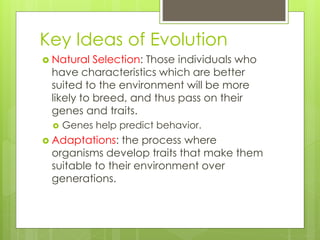 Key Ideas of Evolution 
 Natural Selection: Those individuals who 
have characteristics which are better 
suited to the environment will be more 
likely to breed, and thus pass on their 
genes and traits. 
 Genes help predict behavior. 
 Adaptations: the process where 
organisms develop traits that make them 
suitable to their environment over 
generations. 
 