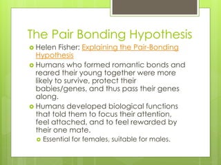 The Pair Bonding Hypothesis 
 Helen Fisher: Explaining the Pair-Bonding 
Hypothesis 
 Humans who formed romantic bonds and 
reared their young together were more 
likely to survive, protect their 
babies/genes, and thus pass their genes 
along. 
 Humans developed biological functions 
that told them to focus their attention, 
feel attached, and to feel rewarded by 
their one mate. 
 Essential for females, suitable for males. 
 