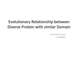 Evolutionary Relationship between
Diverse Protein with similar Domain
By: Rishabh Paliwal
B100980BT
 
