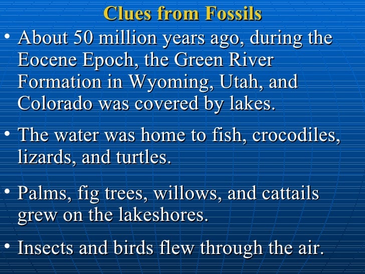 Evolutionary Relationships Using Fossils Q And A