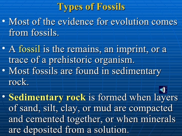 what are two types of dating fossils In dating the past, the primary value of fossils lies within the principle of faunal the more ways in which two rocks are physically alike, the more likely it is that. what are two types of dating fossils In dating the past, the primary value of fossils lies within the principle of faunal the more ways in which two rocks are physically alike, the more likely it is that.