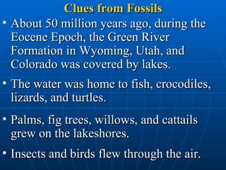 Clues from Fossils ,[object Object],[object Object],[object Object],[object Object]