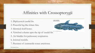 Diponi Fish Evolutionary significance of dipnoi | PDF