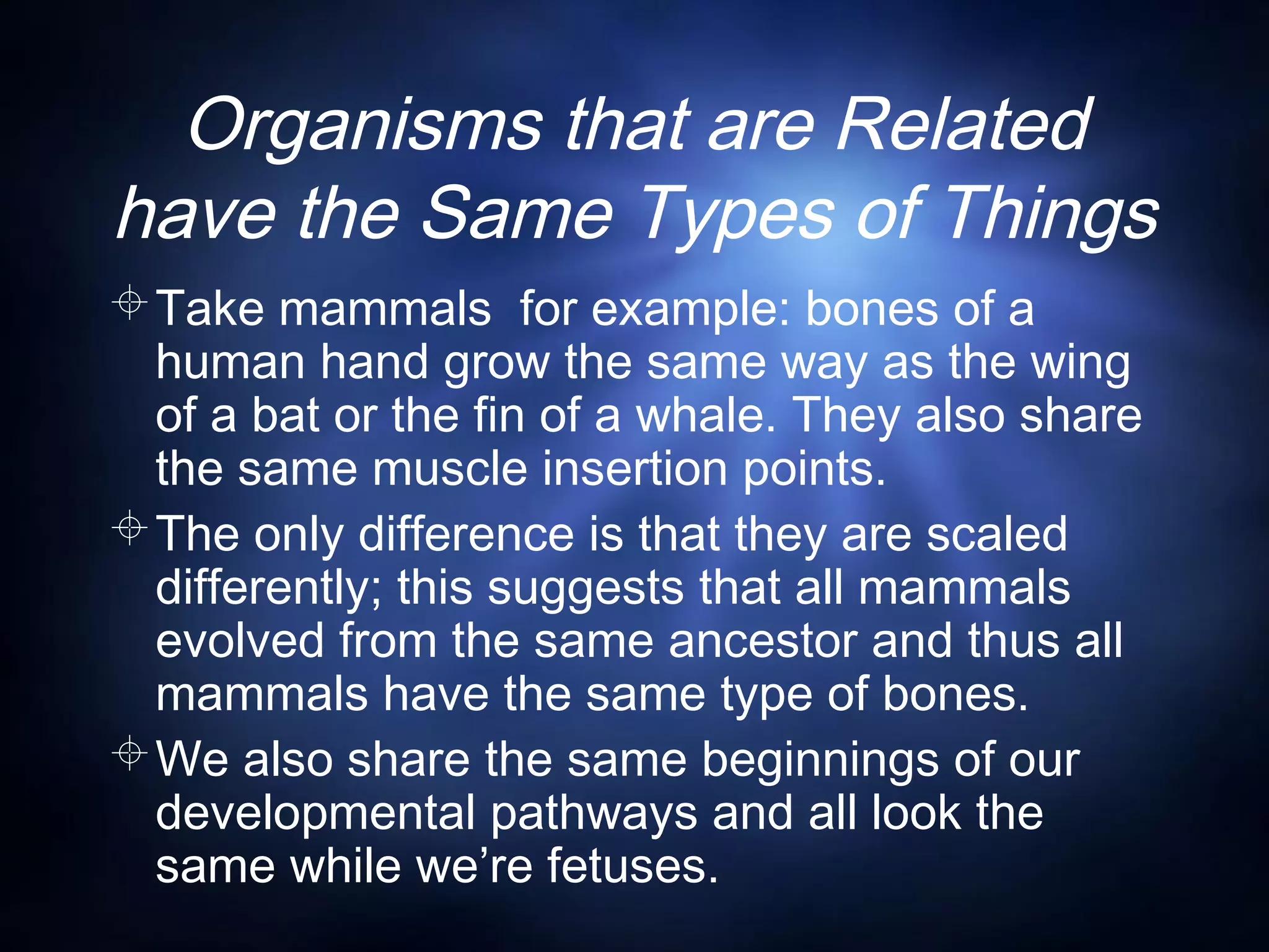 Organisms that are Related
have the Same Types of Things
Take mammals for example: bones of a
human hand grow the same way as the wing
of a bat or the fin of a whale. They also share
the same muscle insertion points.
The only difference is that they are scaled
differently; this suggests that all mammals
evolved from the same ancestor and thus all
mammals have the same type of bones.
We also share the same beginnings of our
developmental pathways and all look the
same while we’re fetuses.
 