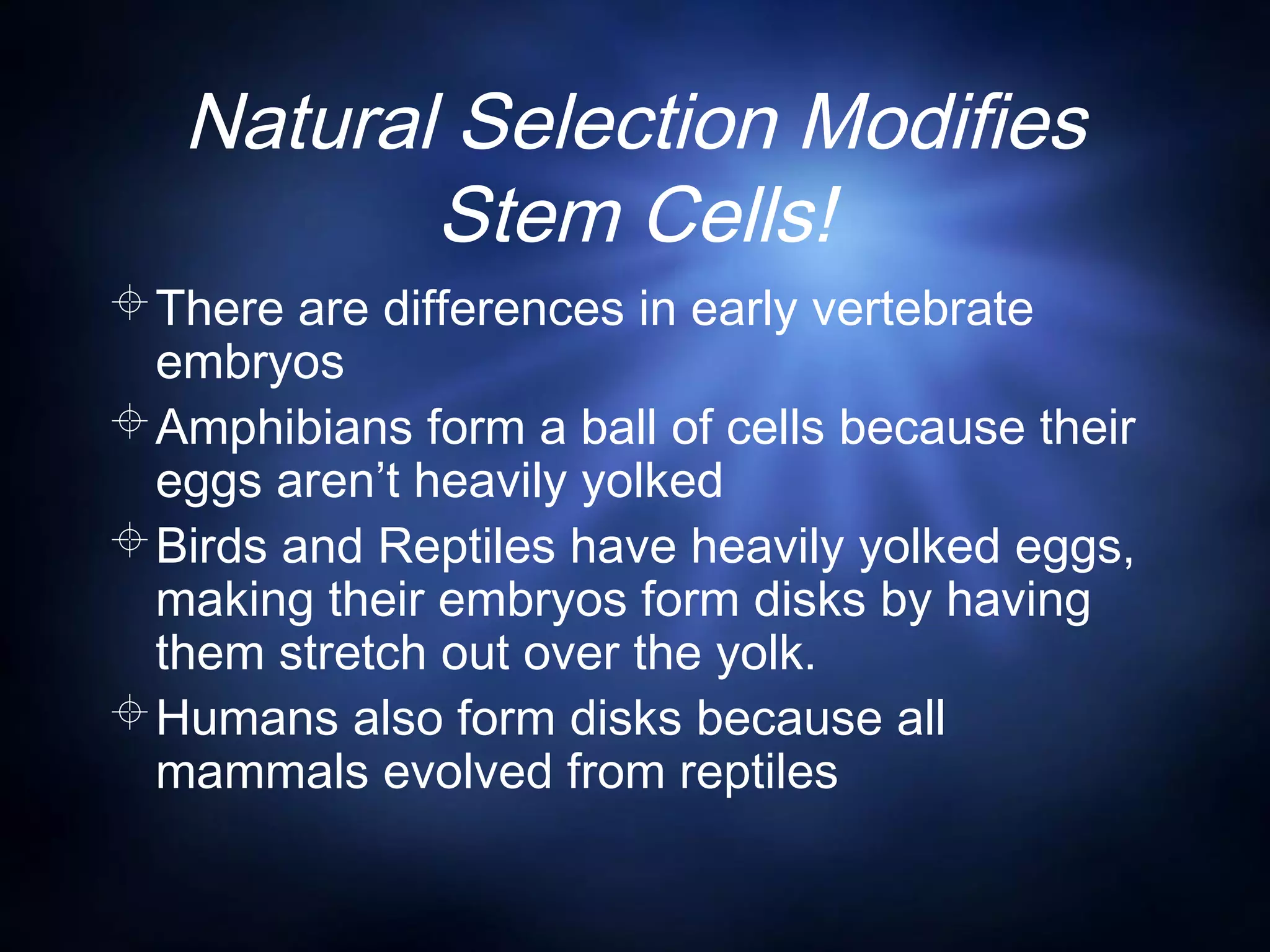 Natural Selection Modifies
Stem Cells!
There are differences in early vertebrate
embryos
Amphibians form a ball of cells because their
eggs aren’t heavily yolked
Birds and Reptiles have heavily yolked eggs,
making their embryos form disks by having
them stretch out over the yolk.
Humans also form disks because all
mammals evolved from reptiles
 