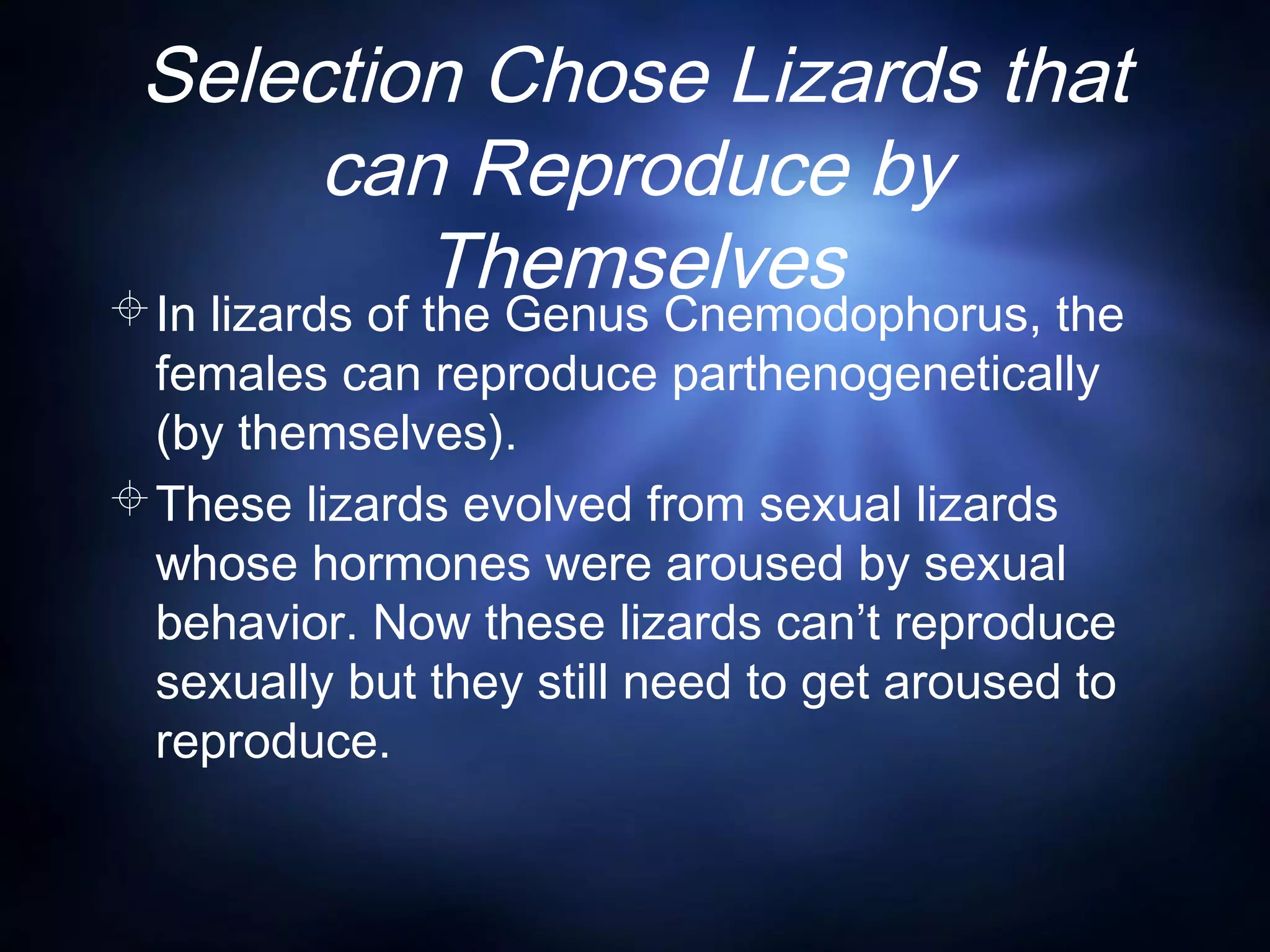 Selection Chose Lizards that
can Reproduce by
ThemselvesIn lizards of the Genus Cnemodophorus, the
females can reproduce parthenogenetically
(by themselves).
These lizards evolved from sexual lizards
whose hormones were aroused by sexual
behavior. Now these lizards can’t reproduce
sexually but they still need to get aroused to
reproduce.
 