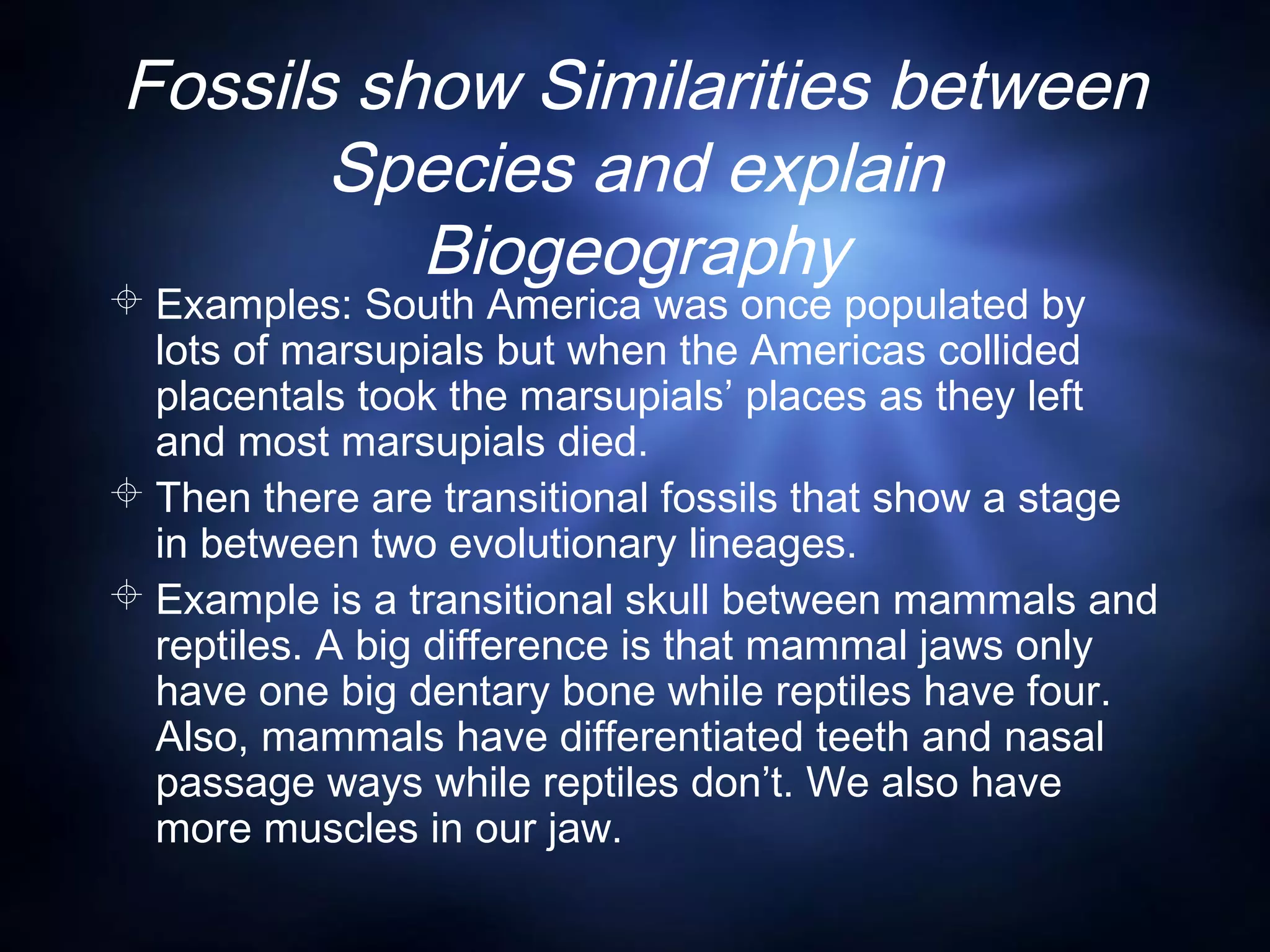 Fossils show Similarities between
Species and explain
Biogeography
 Examples: South America was once populated by
lots of marsupials but when the Americas collided
placentals took the marsupials’ places as they left
and most marsupials died.
 Then there are transitional fossils that show a stage
in between two evolutionary lineages.
 Example is a transitional skull between mammals and
reptiles. A big difference is that mammal jaws only
have one big dentary bone while reptiles have four.
Also, mammals have differentiated teeth and nasal
passage ways while reptiles don’t. We also have
more muscles in our jaw.
 