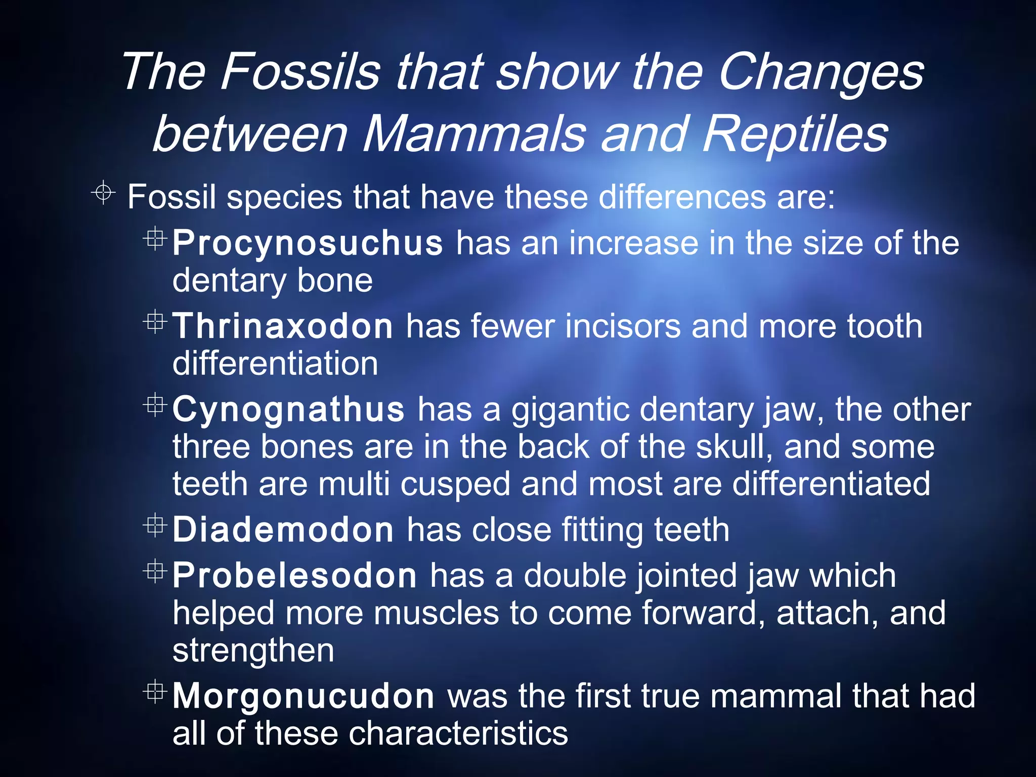 The Fossils that show the Changes
between Mammals and Reptiles
 Fossil species that have these differences are:
Procynosuchus has an increase in the size of the
dentary bone
Thrinaxodon has fewer incisors and more tooth
differentiation
Cynognathus has a gigantic dentary jaw, the other
three bones are in the back of the skull, and some
teeth are multi cusped and most are differentiated
Diademodon has close fitting teeth
Probelesodon has a double jointed jaw which
helped more muscles to come forward, attach, and
strengthen
Morgonucudon was the first true mammal that had
all of these characteristics
 