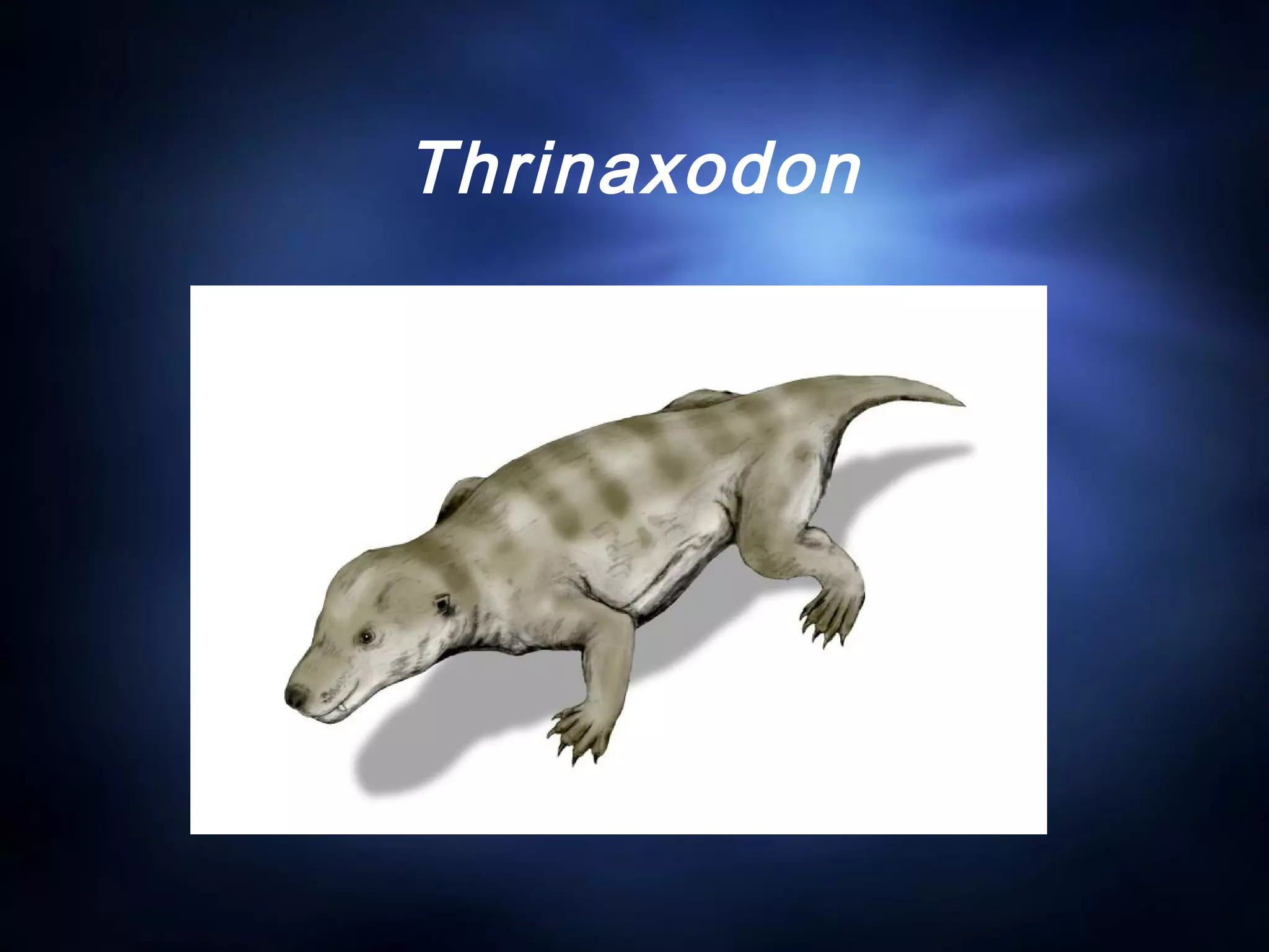 Thrinaxodon
 