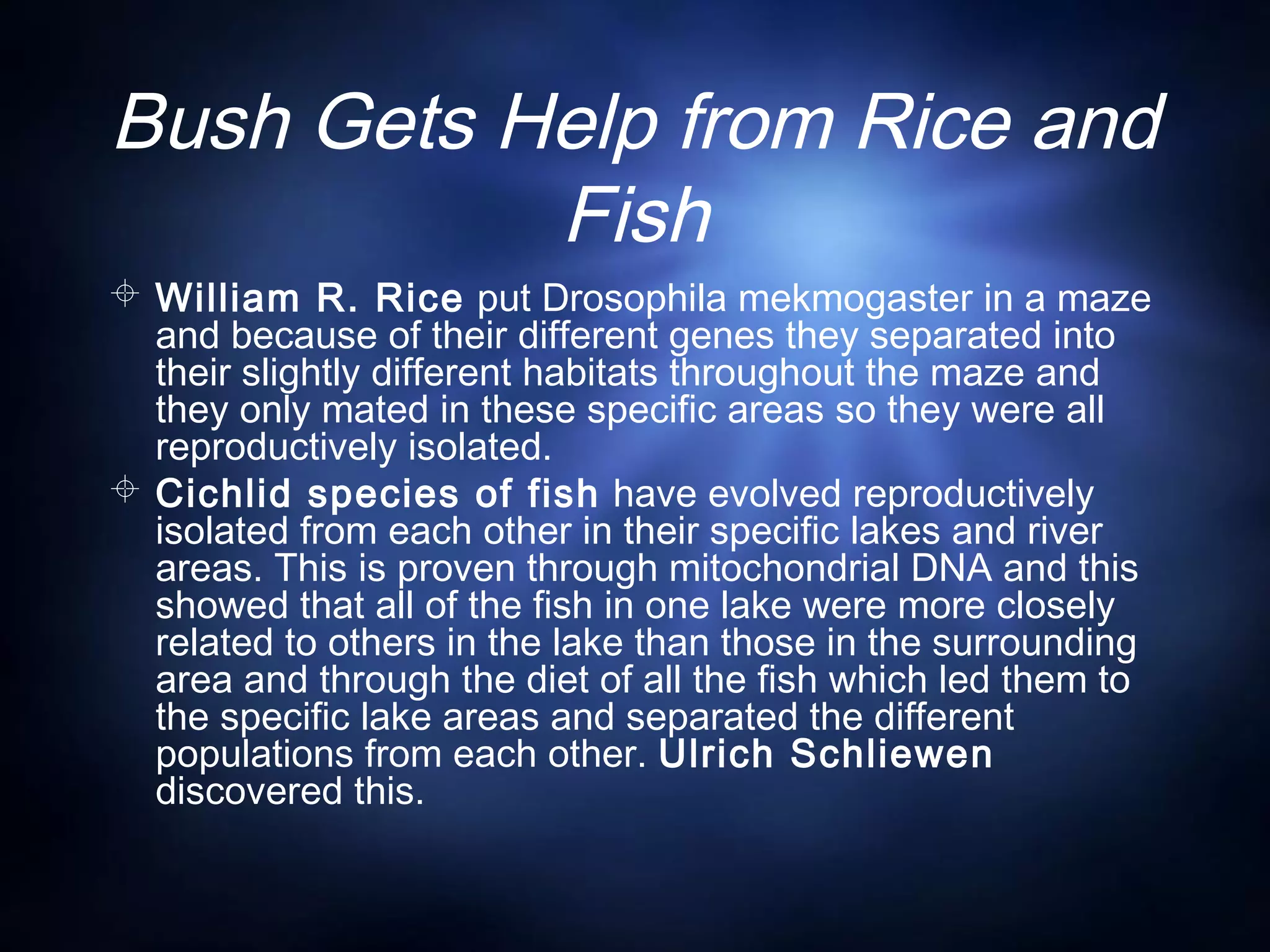 Bush Gets Help from Rice and
Fish
 William R. Rice put Drosophila mekmogaster in a maze
and because of their different genes they separated into
their slightly different habitats throughout the maze and
they only mated in these specific areas so they were all
reproductively isolated.
 Cichlid species of fish have evolved reproductively
isolated from each other in their specific lakes and river
areas. This is proven through mitochondrial DNA and this
showed that all of the fish in one lake were more closely
related to others in the lake than those in the surrounding
area and through the diet of all the fish which led them to
the specific lake areas and separated the different
populations from each other. Ulrich Schliewen
discovered this.
 