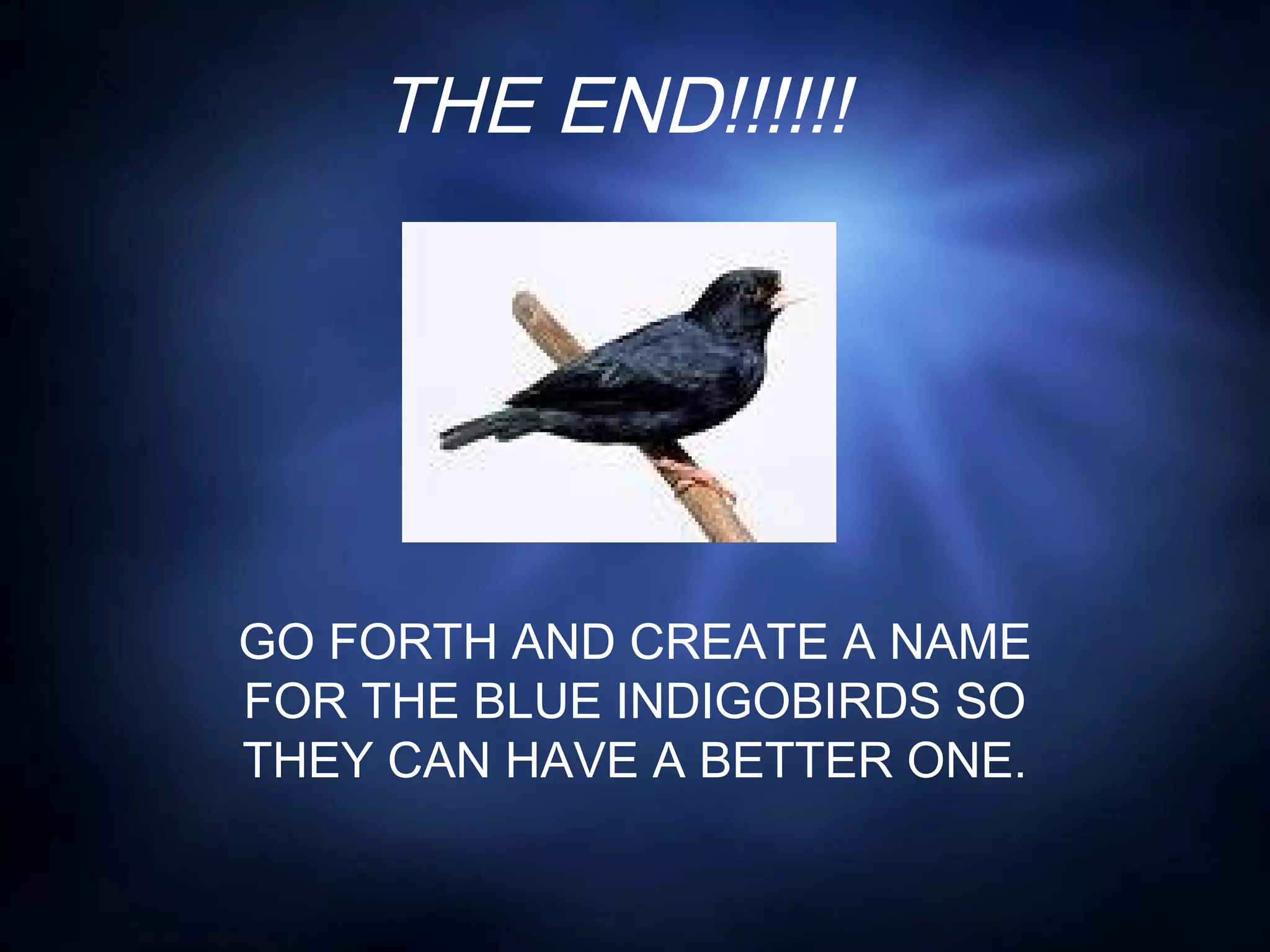 THE END!!!!!!
GO FORTH AND CREATE A NAME
FOR THE BLUE INDIGOBIRDS SO
THEY CAN HAVE A BETTER ONE.
 