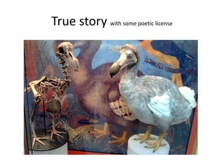 True story with some poetic license
 