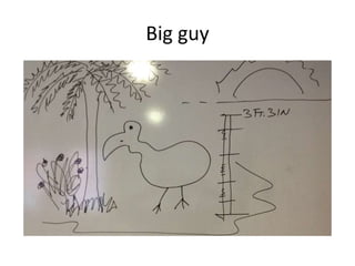 Big guy
 