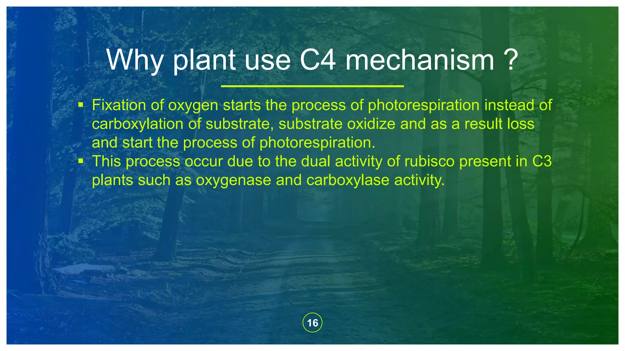 16
Why plant use C4 mechanism ?
 Fixation of oxygen starts the process of photorespiration instead of
carboxylation of substrate, substrate oxidize and as a result loss
and start the process of photorespiration.
 This process occur due to the dual activity of rubisco present in C3
plants such as oxygenase and carboxylase activity.
 