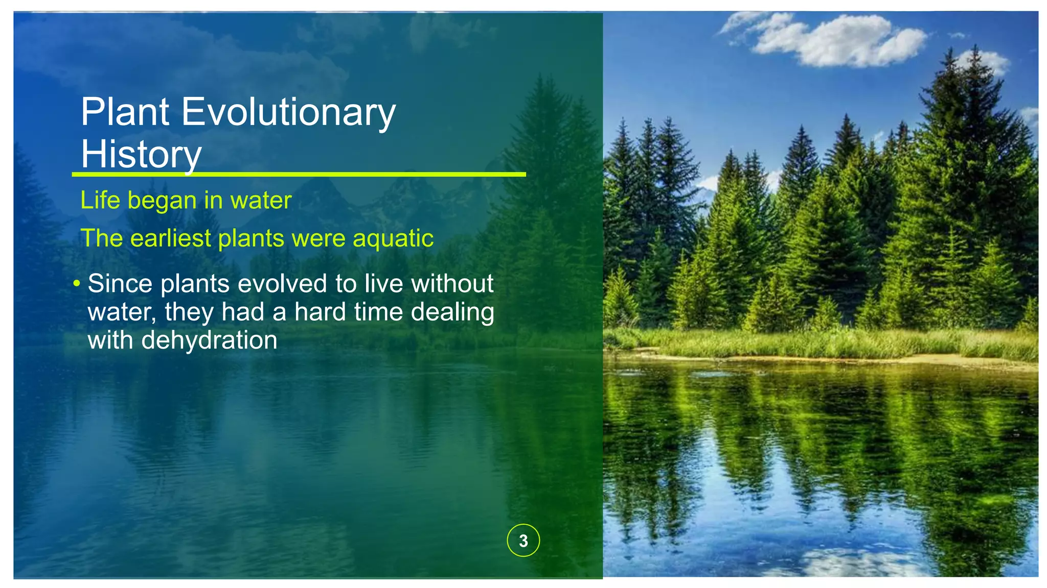 Plant Evolutionary
History
Life began in water
The earliest plants were aquatic
• Since plants evolved to live without
water, they had a hard time dealing
with dehydration
3
 