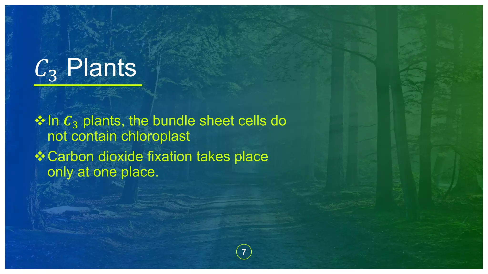 7
In 𝑪 𝟑 plants, the bundle sheet cells do
not contain chloroplast
Carbon dioxide fixation takes place
only at one place.
𝐶3 Plants
 