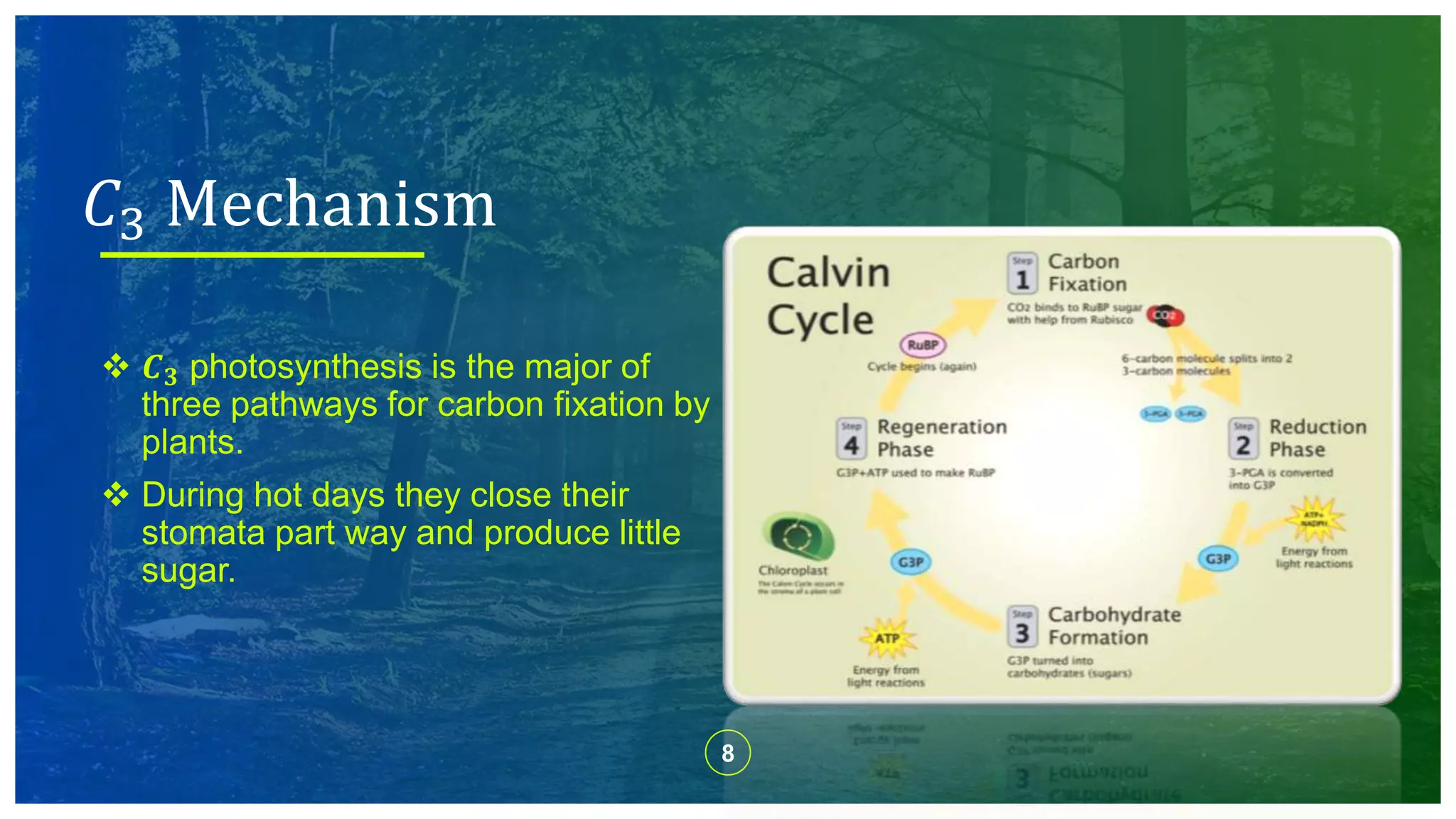 8
 𝑪 𝟑 photosynthesis is the major of
three pathways for carbon fixation by
plants.
 During hot days they close their
stomata part way and produce little
sugar.
𝐶3 Mechanism
 