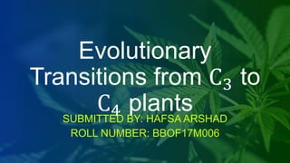 Evolutionary
Transitions from C3 to
C4 plantsSUBMITTED BY: HAFSA ARSHAD
ROLL NUMBER: BBOF17M006
 