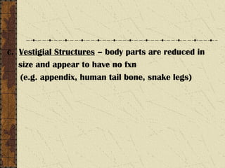 c. Vestigial Structures – body parts are reduced in
size and appear to have no fxn
(e.g. appendix, human tail bone, snake legs)
 