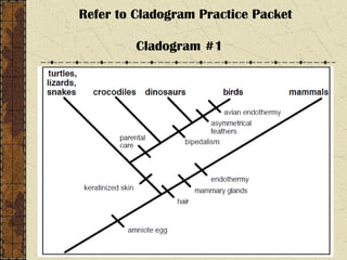 Refer to Cladogram Practice Packet
Cladogram #1
 