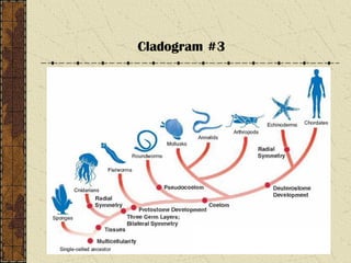 Cladogram #3
 