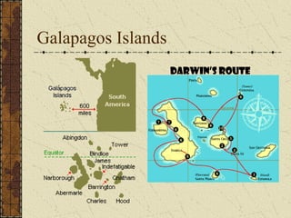 Galapagos Islands
Darwin’s route
 