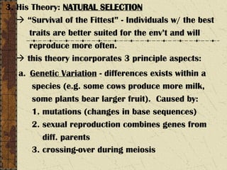 3. His Theory: NATURAL SELECTION
 “Survival of the Fittest” - Individuals w/ the best
traits are better suited for the env’t and will
reproduce more often.
 this theory incorporates 3 principle aspects:
a. Genetic Variation - differences exists within a
species (e.g. some cows produce more milk,
some plants bear larger fruit). Caused by:
1. mutations (changes in base sequences)
2. sexual reproduction combines genes from
diff. parents
3. crossing-over during meiosis
 