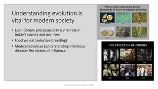 Understanding evolution is
vital for modern society
• Evolutionary processes play a vital role in
today’s society and our lives
• Food we eat (selective breeding)
• Medical advances (understanding infectious
disease- like strains of influenza)
Prepared by Kiersten Lippmann, 2017
 