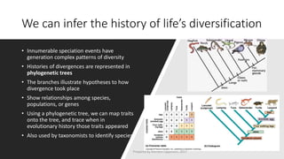 We can infer the history of life’s diversification
• Innumerable speciation events have
generation complex patterns of diversity
• Histories of divergences are represented in
phylogenetic trees
• The branches illustrate hypotheses to how
divergence took place
• Show relationships among species,
populations, or genes
• Using a phylogenetic tree, we can map traits
onto the tree, and trace when in
evolutionary history those traits appeared
• Also used by taxonomists to identify species
Prepared by Kiersten Lippmann, 2017
 