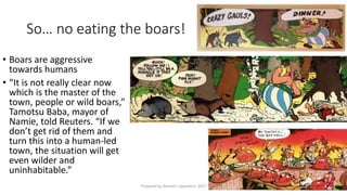 So… no eating the boars!
• Boars are aggressive
towards humans
• “It is not really clear now
which is the master of the
town, people or wild boars,”
Tamotsu Baba, mayor of
Namie, told Reuters. “If we
don’t get rid of them and
turn this into a human-led
town, the situation will get
even wilder and
uninhabitable.”
Prepared by Kiersten Lippmann, 2017
 
